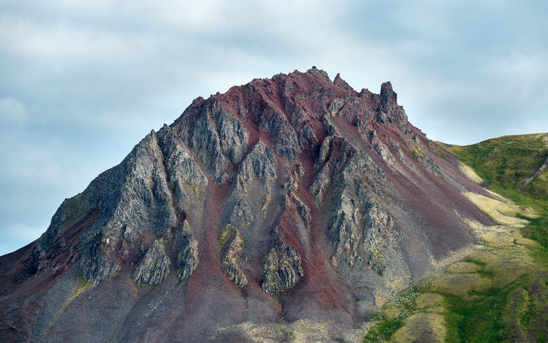Piel Terrestre